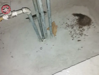 疏附卫生间测漏水价格明细