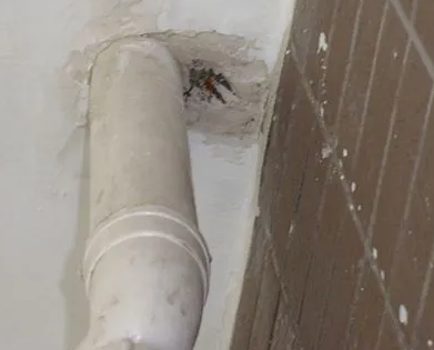 疏附漏水检测哪家好